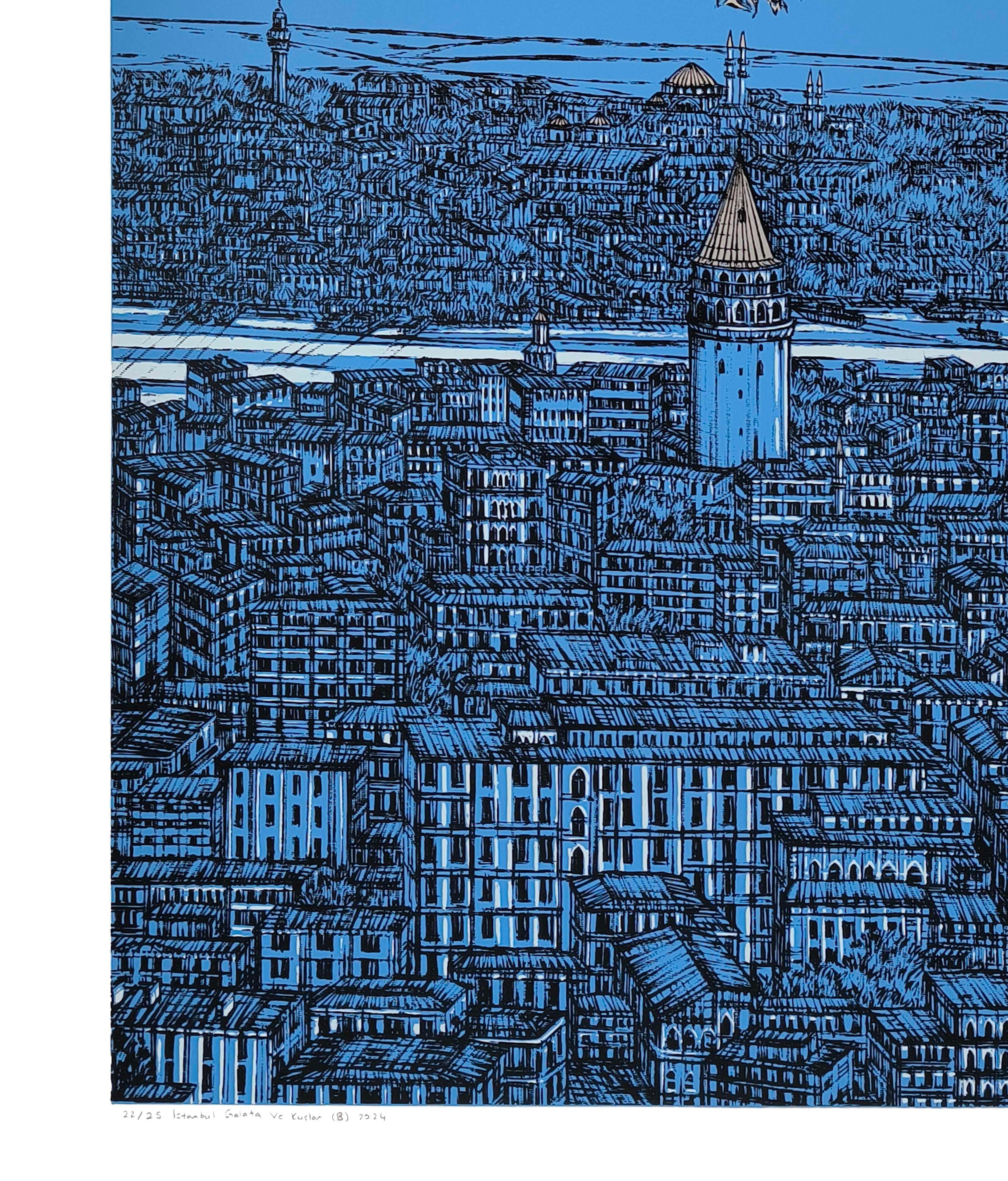 İSTANBUL GALATA VE KUŞLAR 22/25 | SERİGRAFİ BASKI