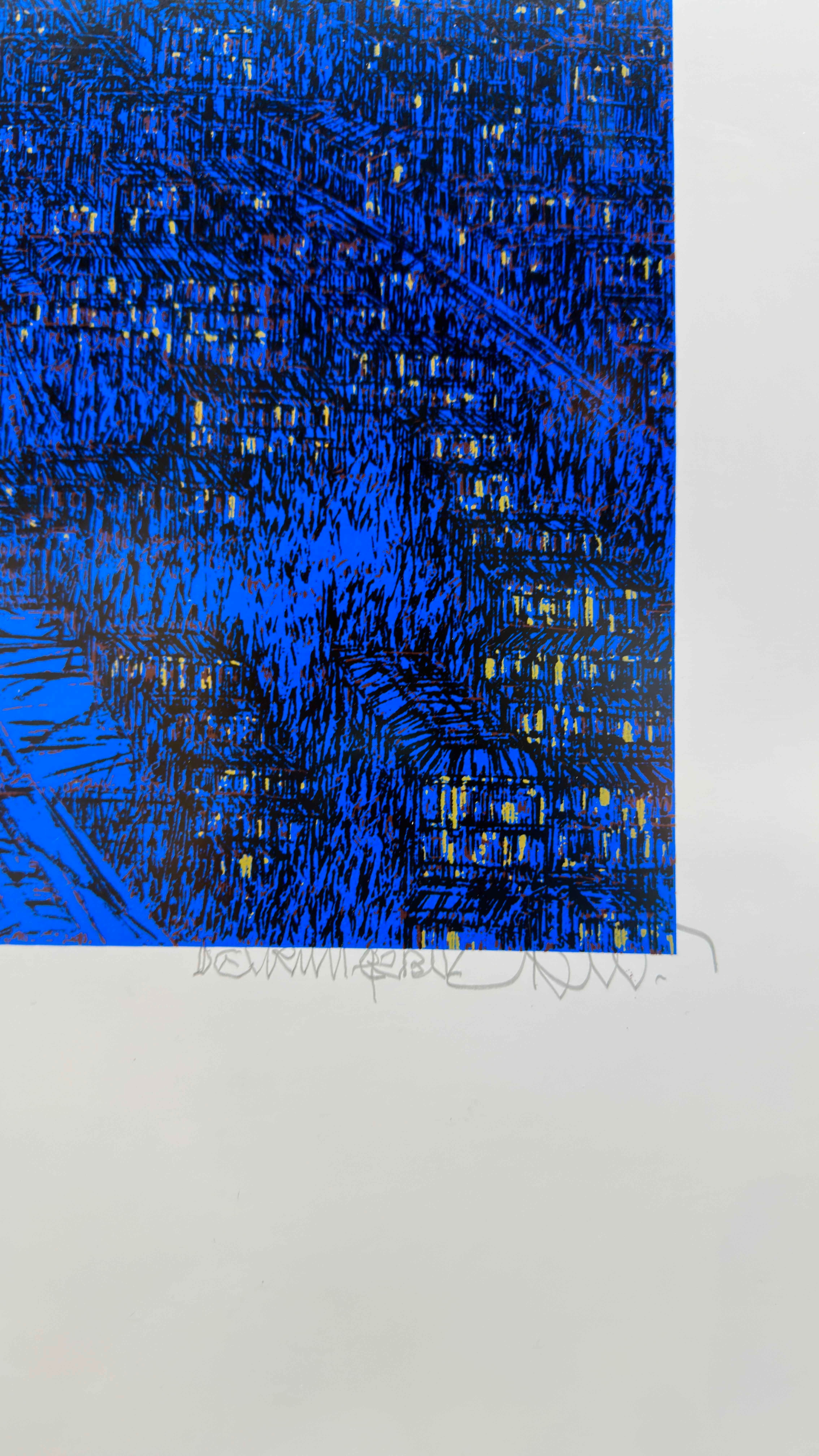 İSTANBULDA KUŞLAR  EA/16  | SERİGRAFİ BASKI