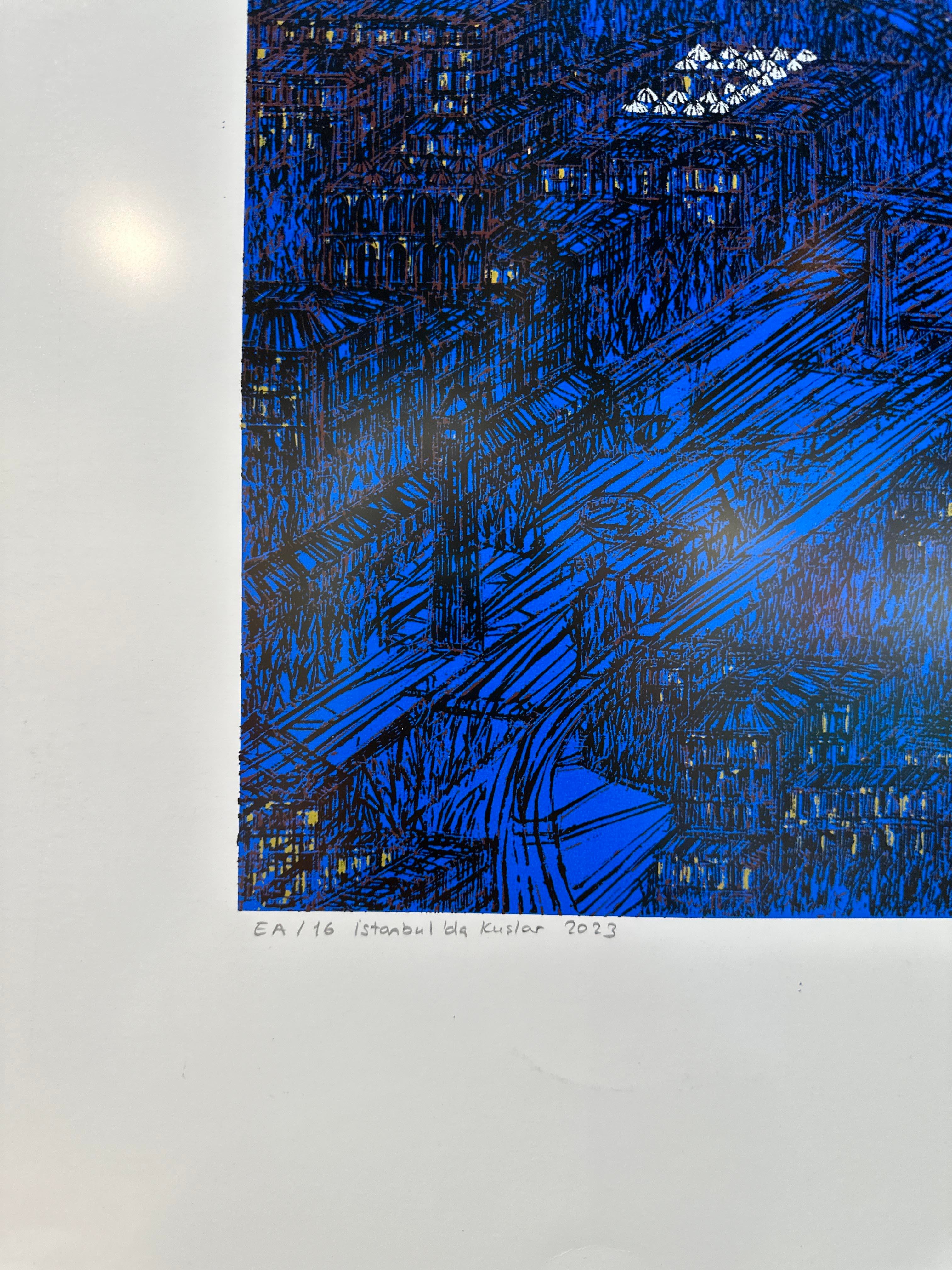 İSTANBULDA KUŞLAR  EA/16  | SERİGRAFİ BASKI