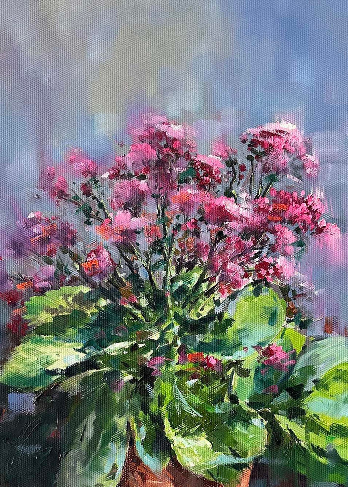 Pembe Begonya | Yağlı Boya Tablo