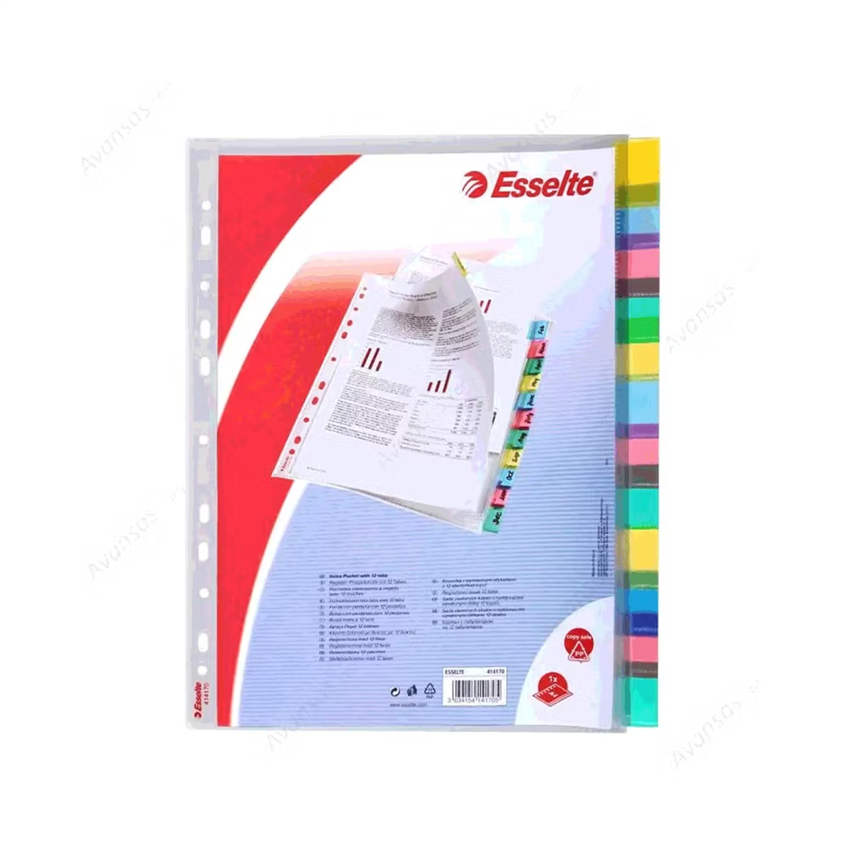 Esselte 414170 Poset Dosya Ayraçli 12 Sayfa