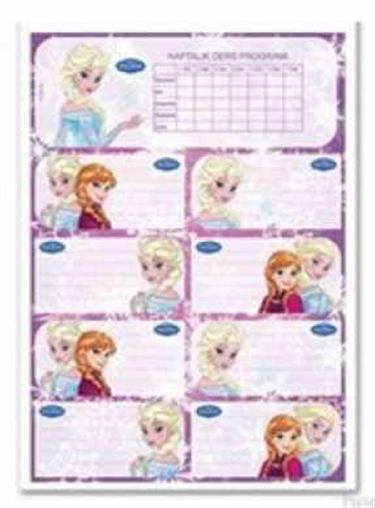 Frozen Ders Programli Okul Etiketi 1 Adet