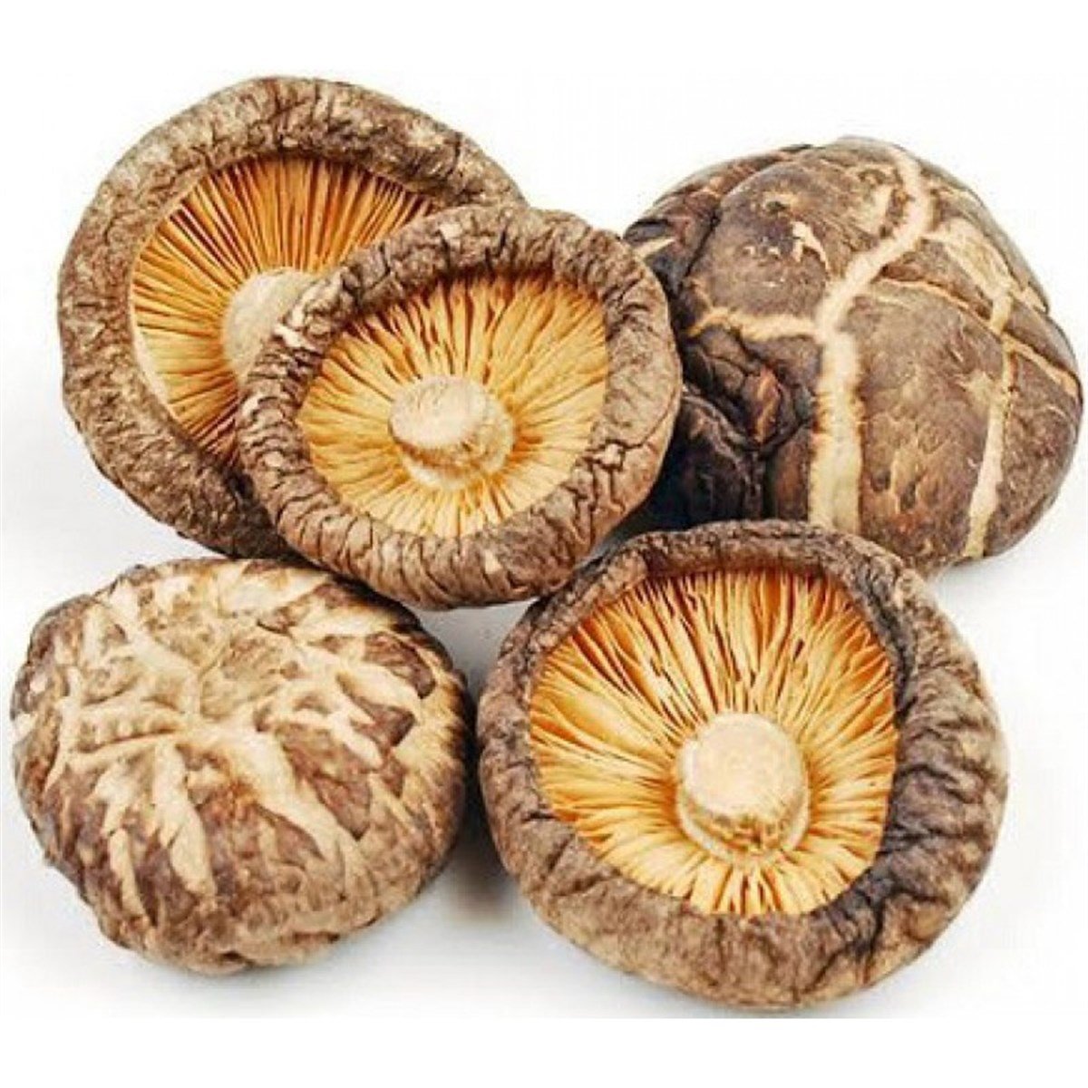 AHCC Shiitake Mantarı İçeren 45 Kapsül