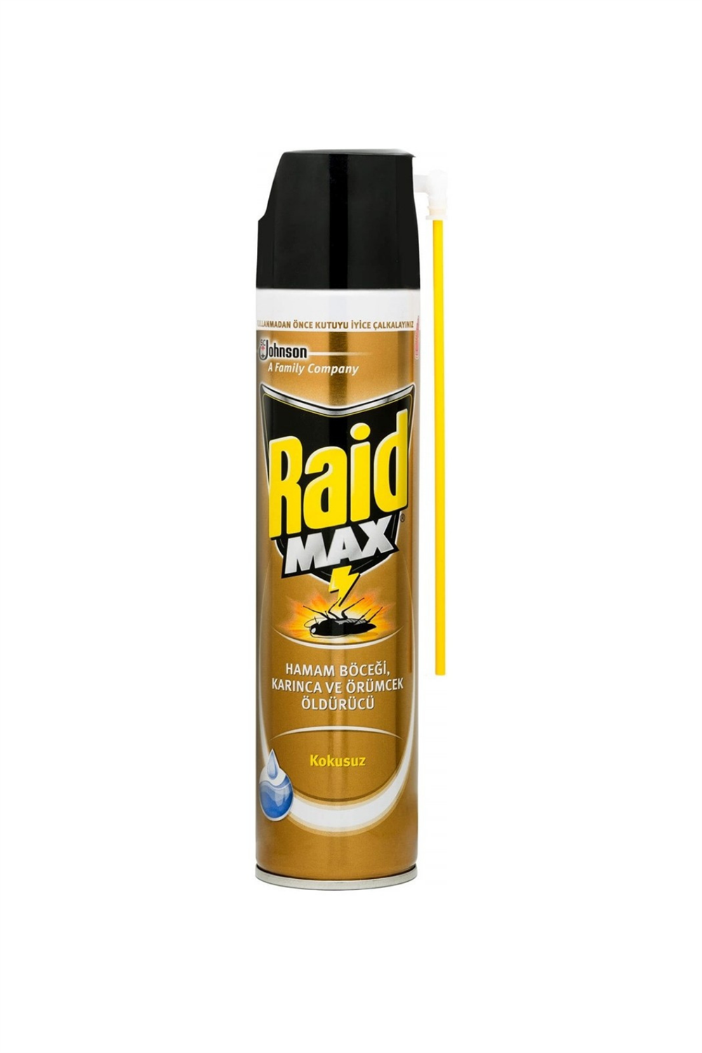 Raid Böceksavar Max 300 ml