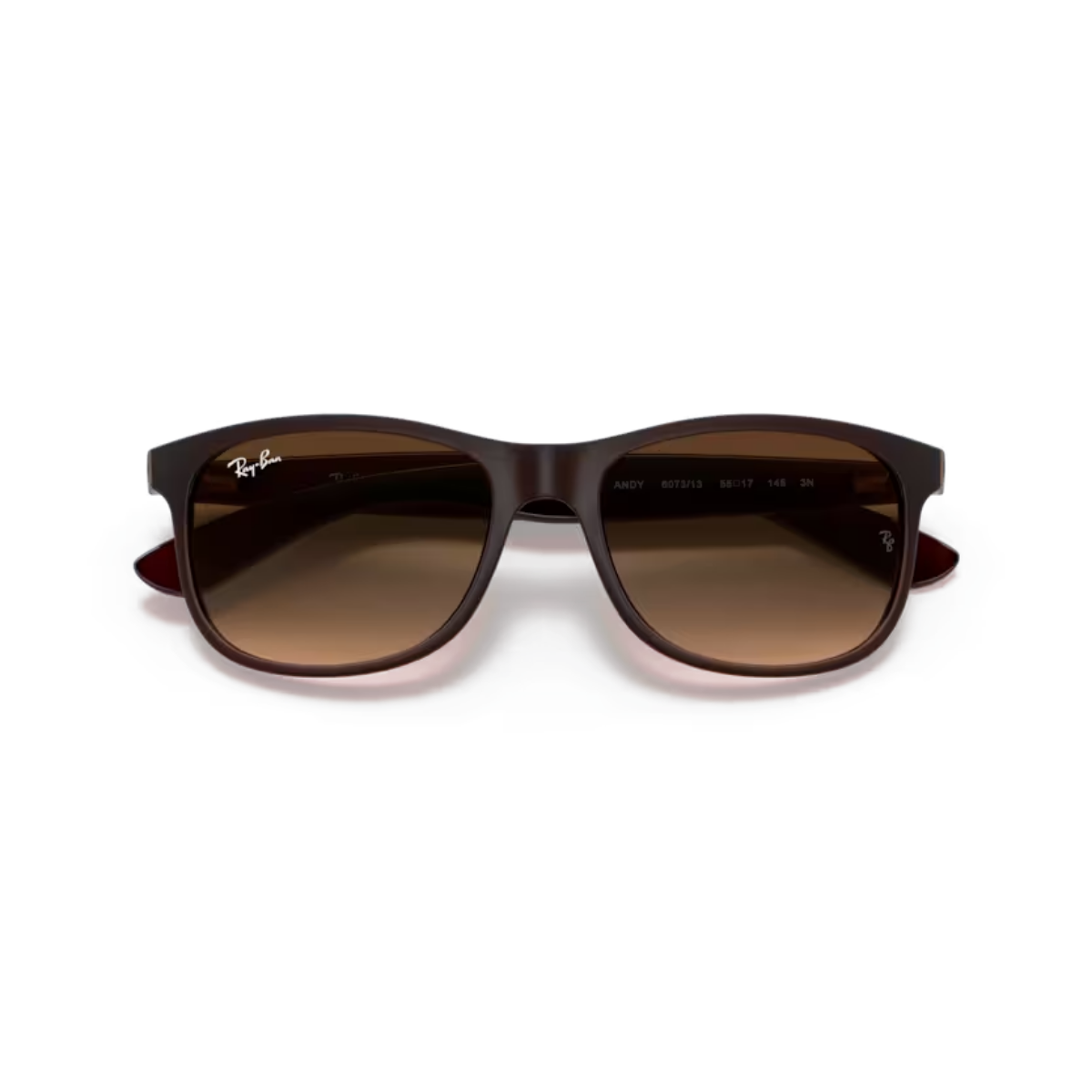 RAY-BANErkek Güneş GözlüğüRAY-BAN 4202 607313 55-17-145 G
