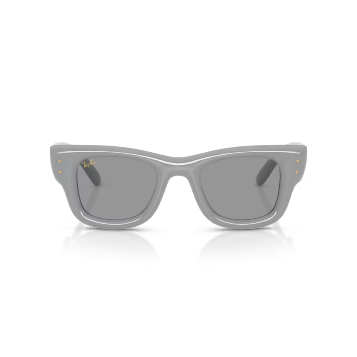 RAY-BANUnisex Güneş GözlüğüRAY-BAN 4940 PUFFER 6876/1 47-23-145 G