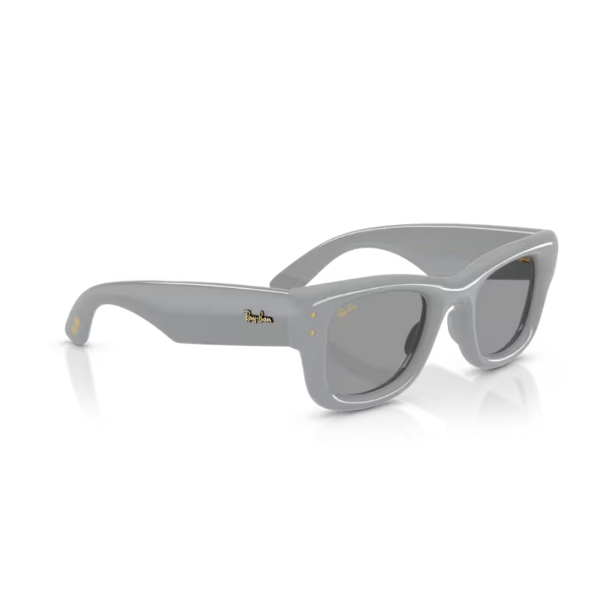 RAY-BANUnisex Güneş GözlüğüRAY-BAN 4940 PUFFER 6876/1 47-23-145 G