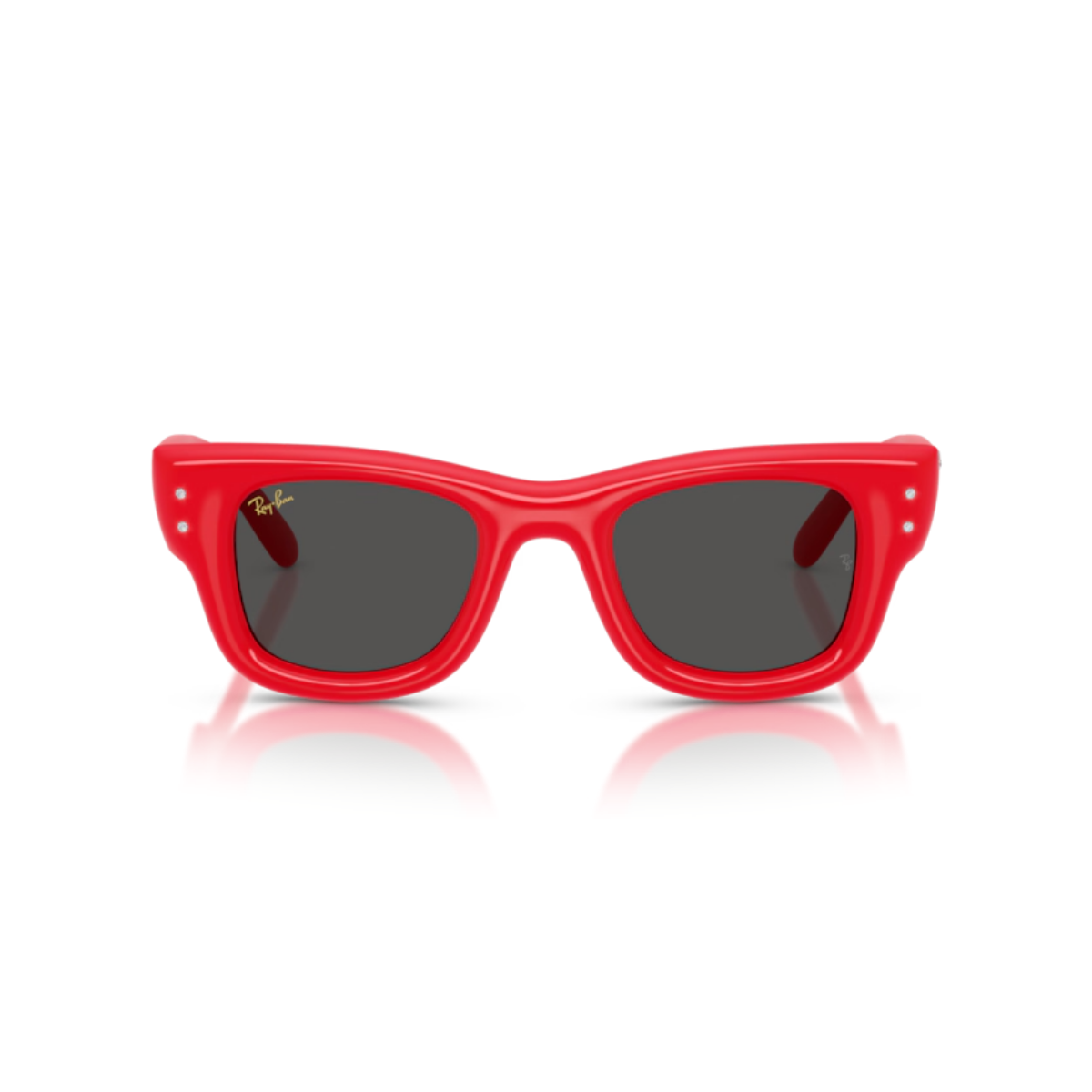 RAY-BANUnisex Güneş GözlüğüRAY-BAN 4940B PUFFER 686187 47-23-145 G
