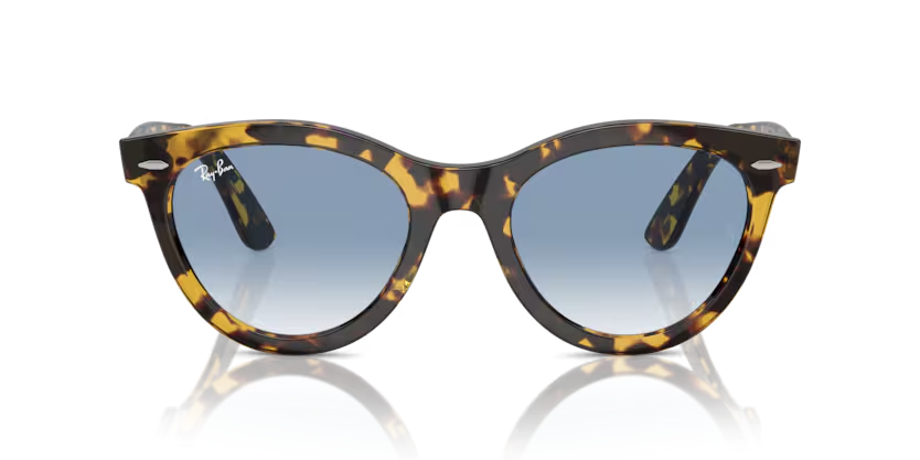 RayBanKadın Güneş GözlüğüRAY-BAN 2241 13323F 54-21-150 G