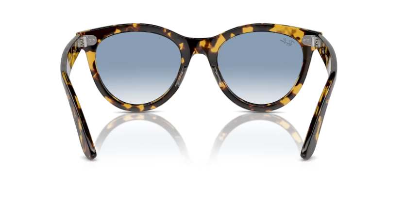 RayBanKadın Güneş GözlüğüRAY-BAN 2241 13323F 54-21-150 G