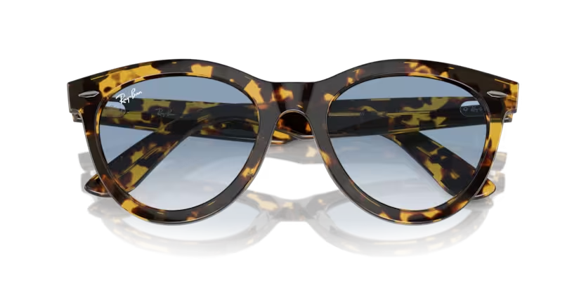 RayBanKadın Güneş GözlüğüRAY-BAN 2241 13323F 54-21-150 G