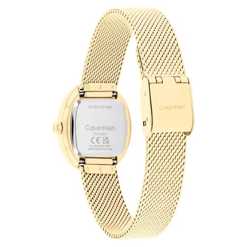 Calvin Klein CK25100174 Kadın Kol Saati