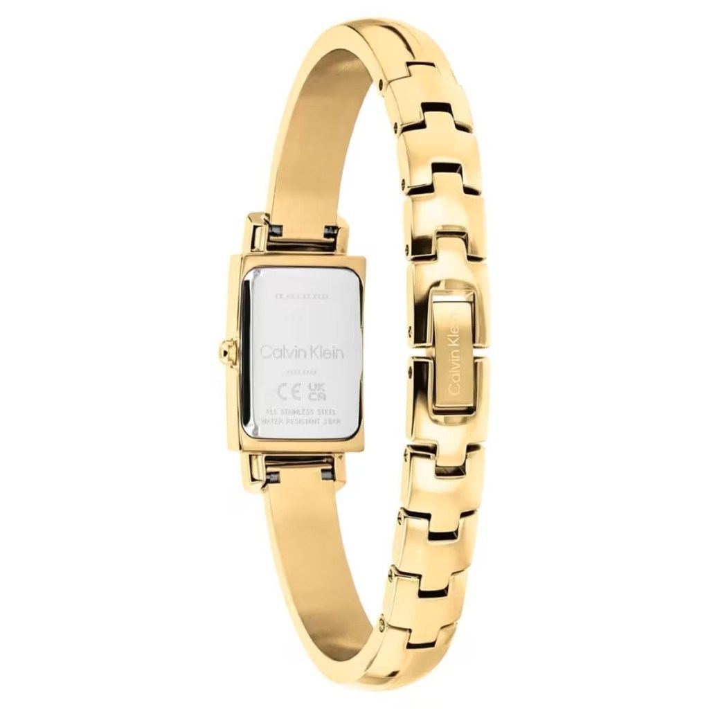 Calvin Klein CK25100184 Kadın Kol Saati