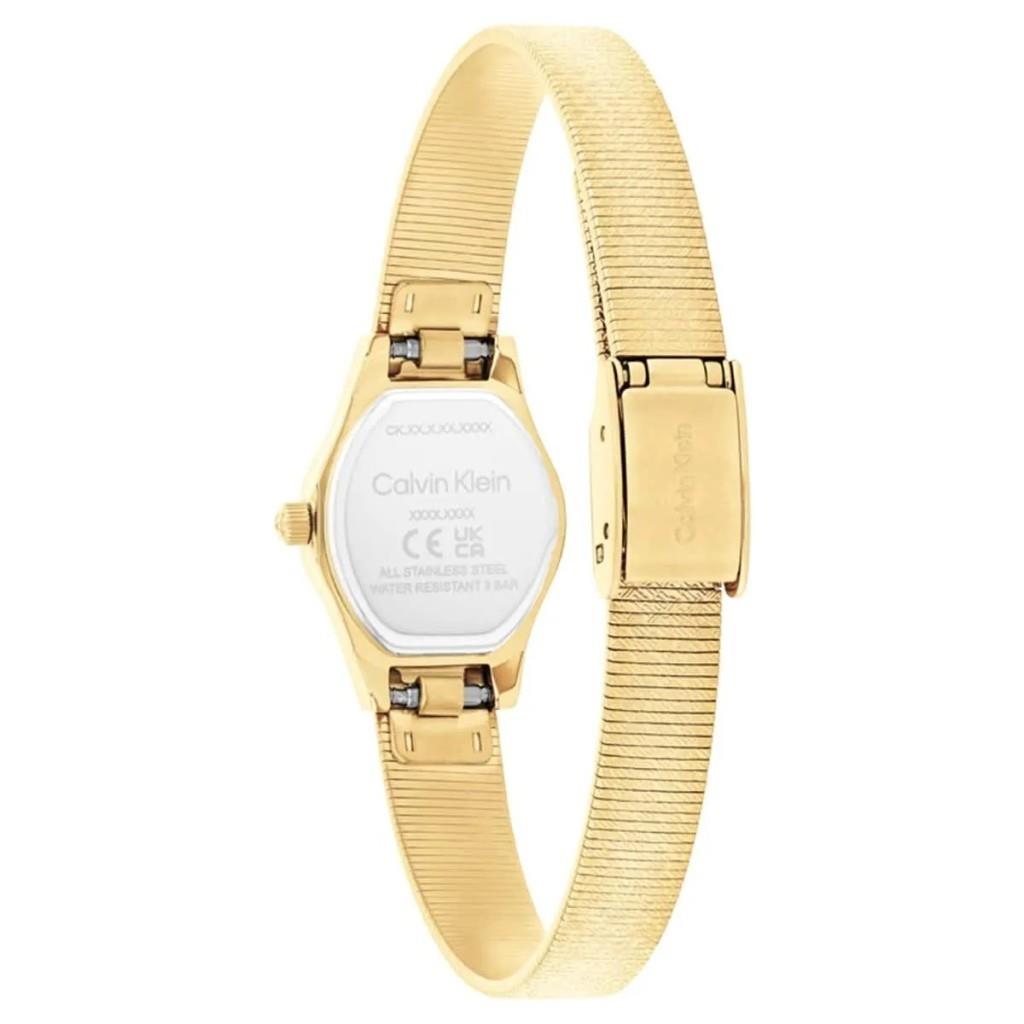 Calvin Klein CK25100193 Kadın Kol Saati