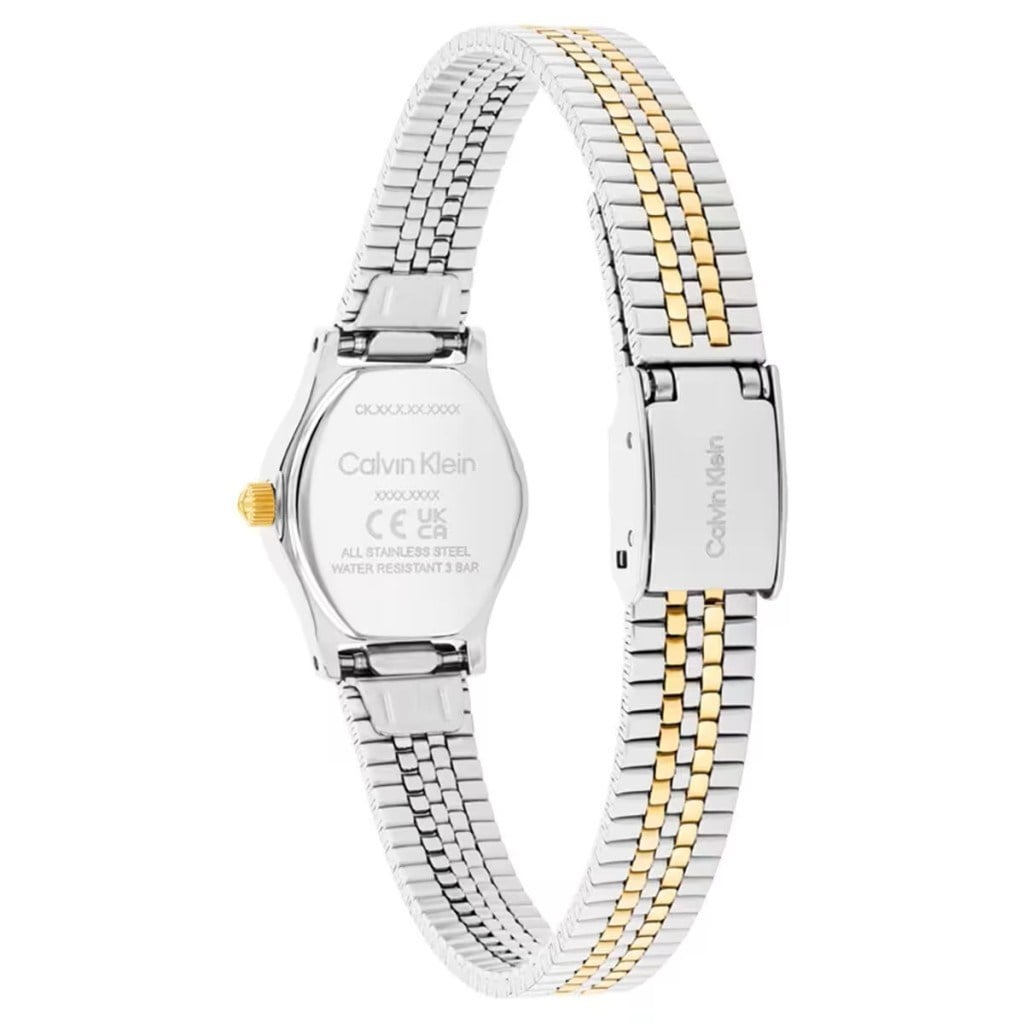 Calvin Klein CK25100207 Kadın Kol Saati