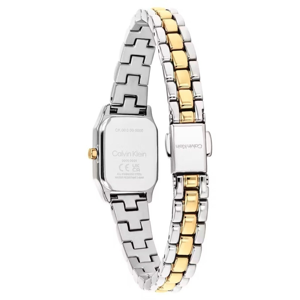 Calvin Klein CK25100234 Kadın Kol Saati