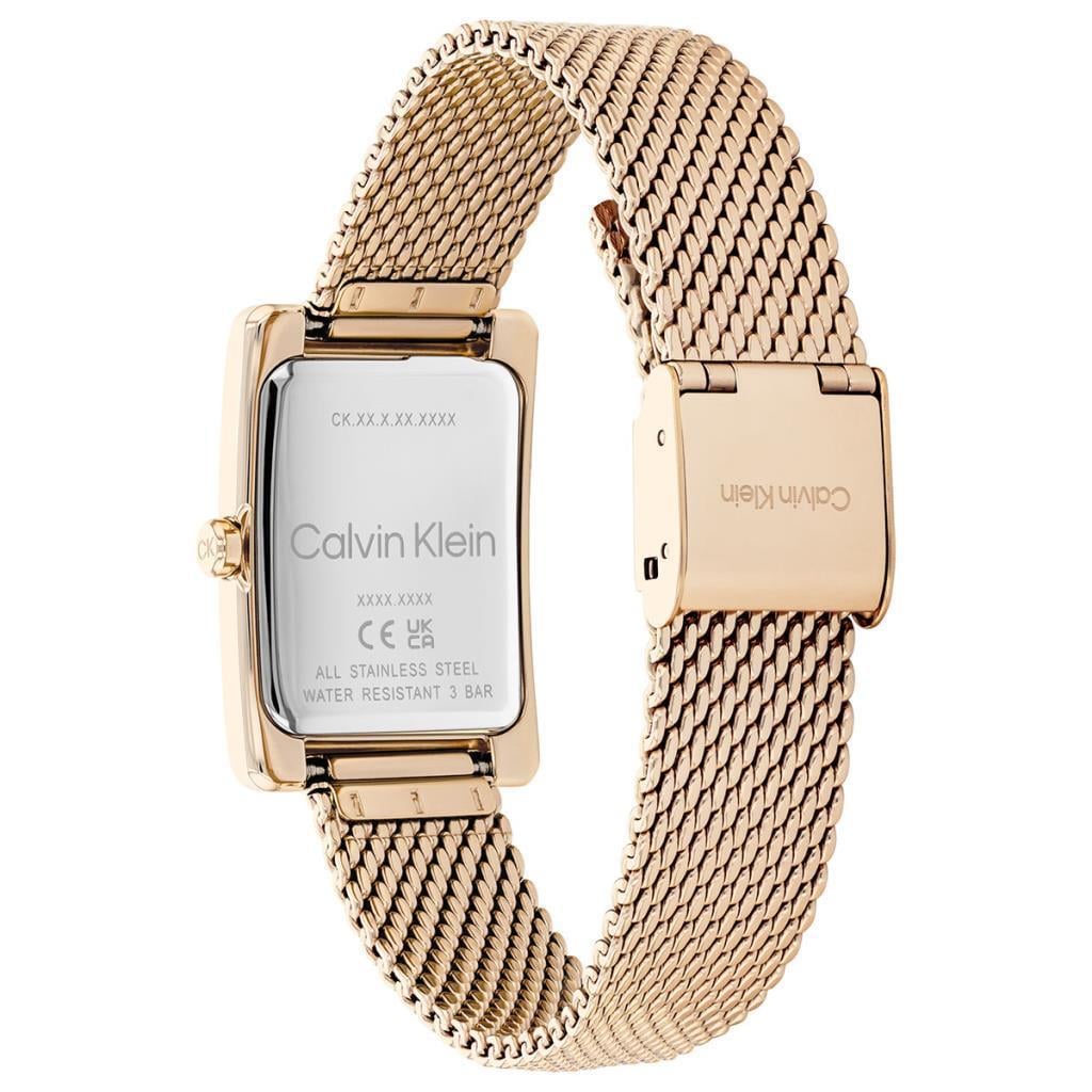 Calvin Klein CK25200395 Kadın Kol Saati