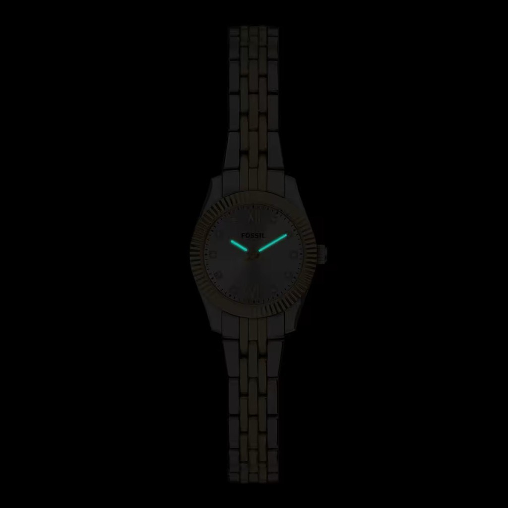Fossil FES5473 Kadın Kol Saati