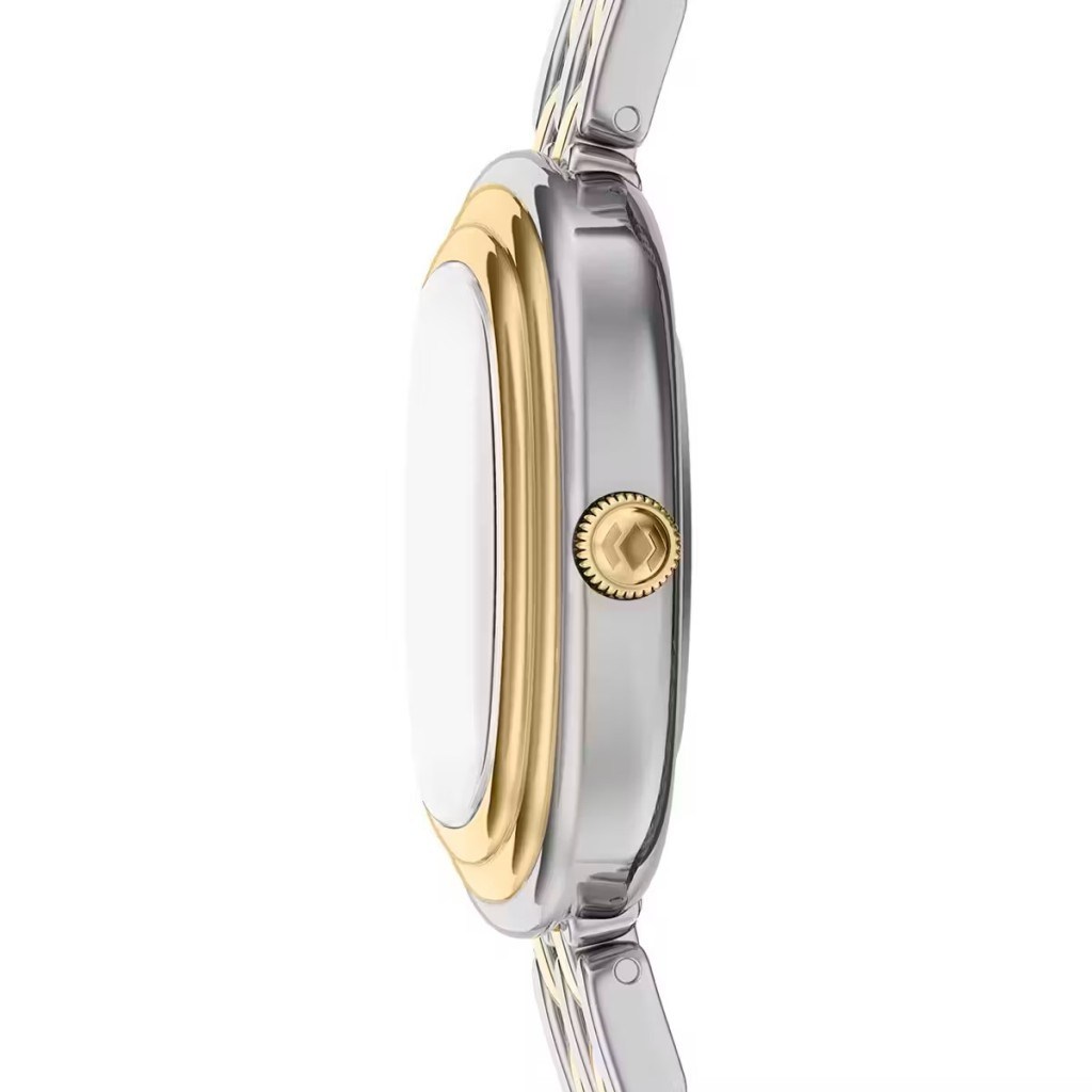Fossil FES5509 Kadın Kol Saati