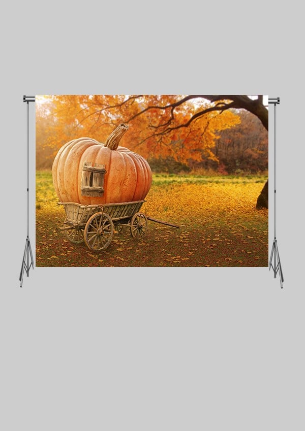 Balkabağı Zeminsiz Çocuk Kumaş Fotoğraf Fonu( 2X1.5 MT)