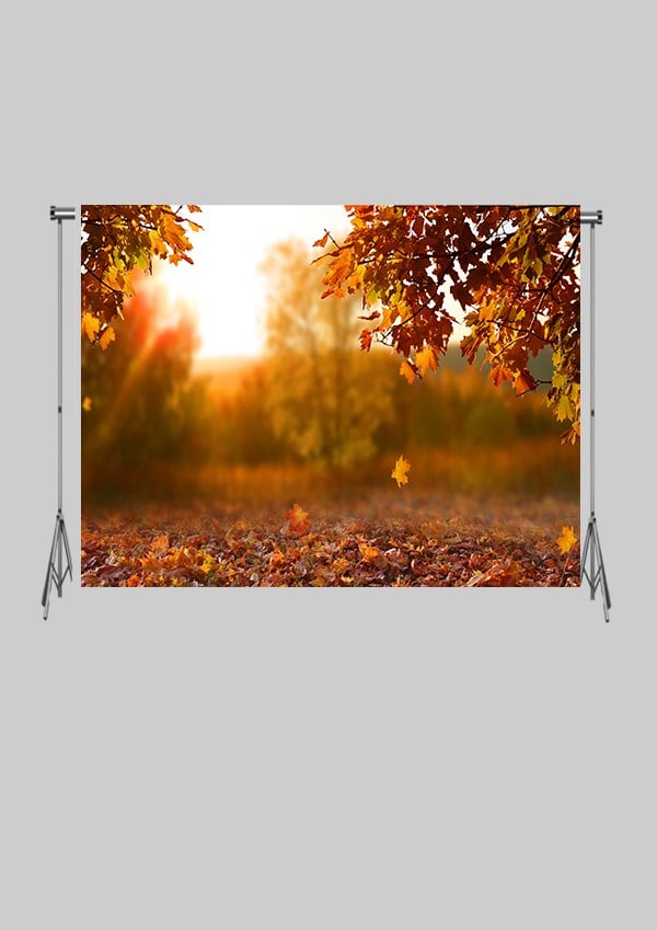 Sonbahar Zeminsiz Çocuk Kumaş Fotoğraf Fonu( 2X1.5 MT)