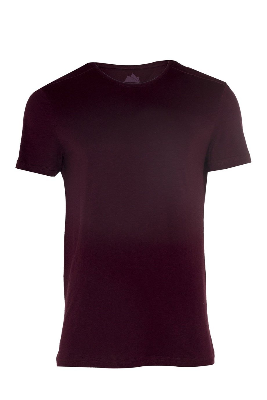 Alpinist Enduro Basic T-Shirt VİŞNE