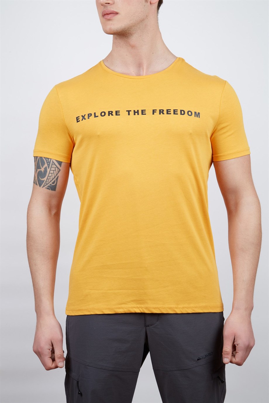 Alpinist Vassi Erkek T-Shirt HARDAL