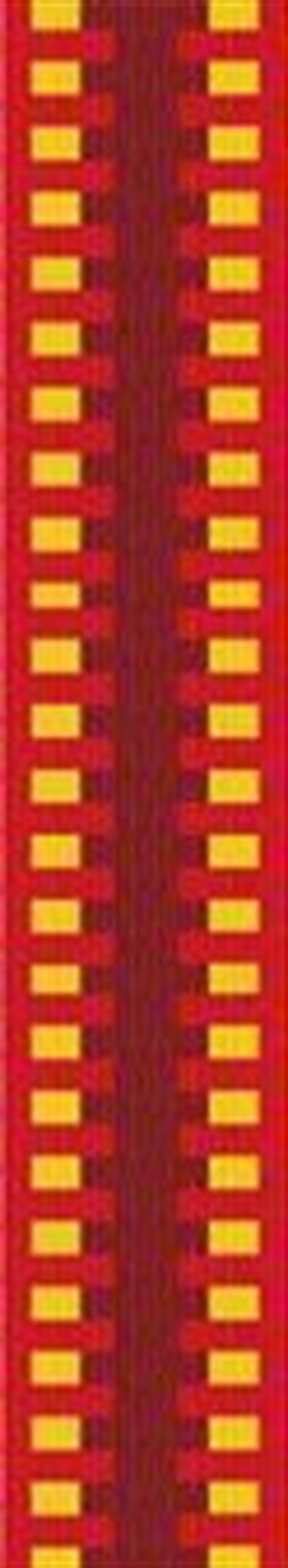 ROCA 25MMX100 M PERLON BANT