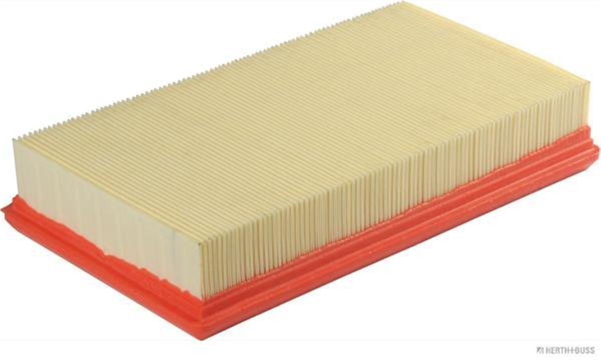 YEDEK PARÇAHAVA FİLTRESİ KANGO II 1.9 DFUJİ*FH-21404