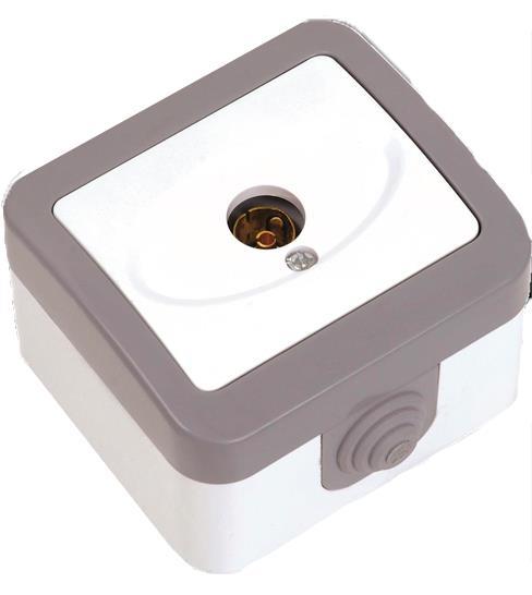 Edna TV Prizi Geçişli