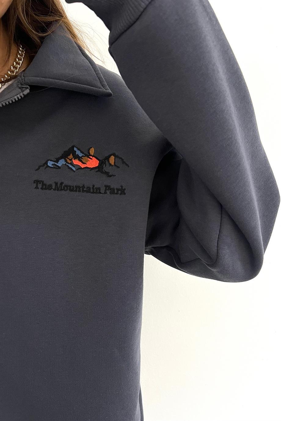Antrasit The Montein Park Baskılı Fermuarlı Polo Yaka 3 İplik Şardonlu Sweat