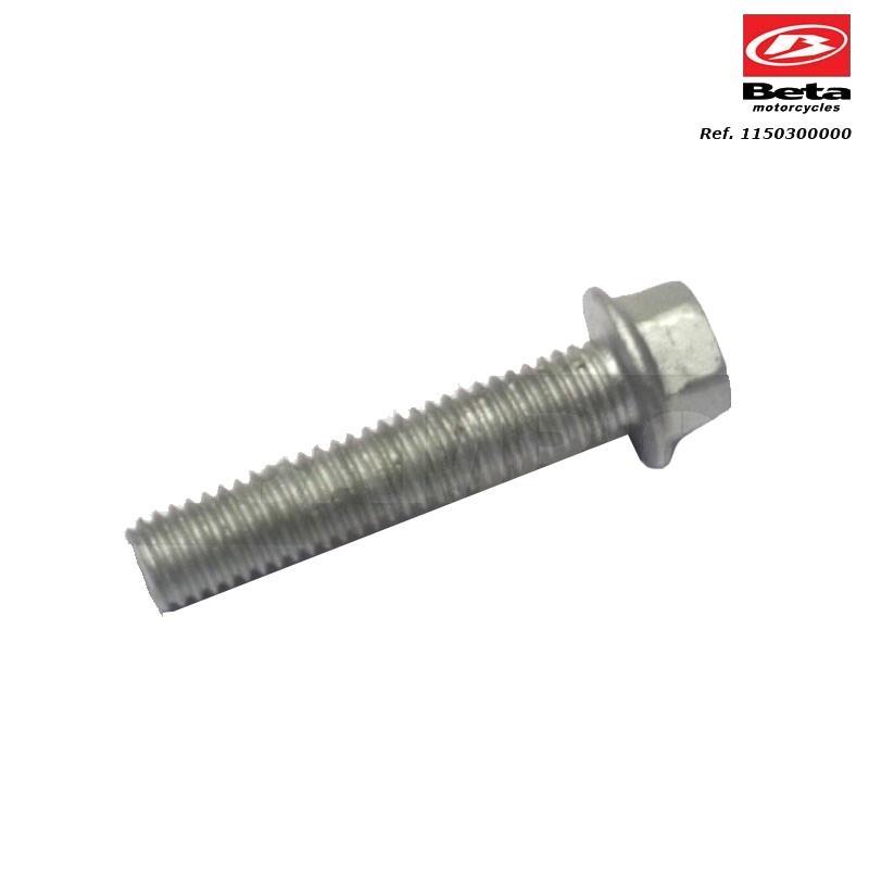 BOLT 6.30 RS CH8 BETA ORJ YP B5