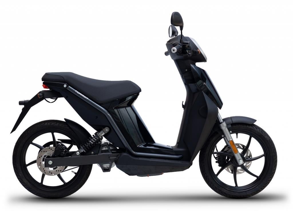 TORROT MUVI