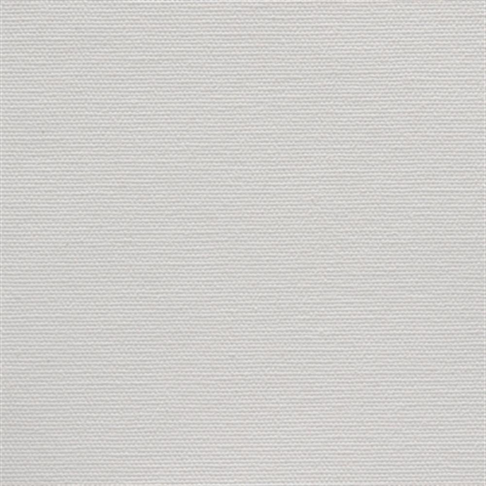 PESENT'E CANVAS PRO 293