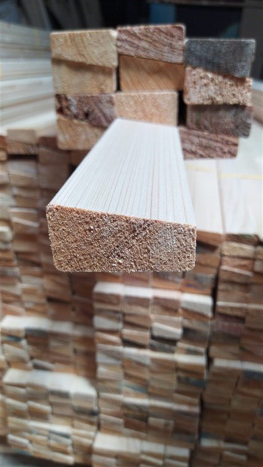 Tuval şase çıta çubuk 2 cm x 3 cm 3 m x 20 adet