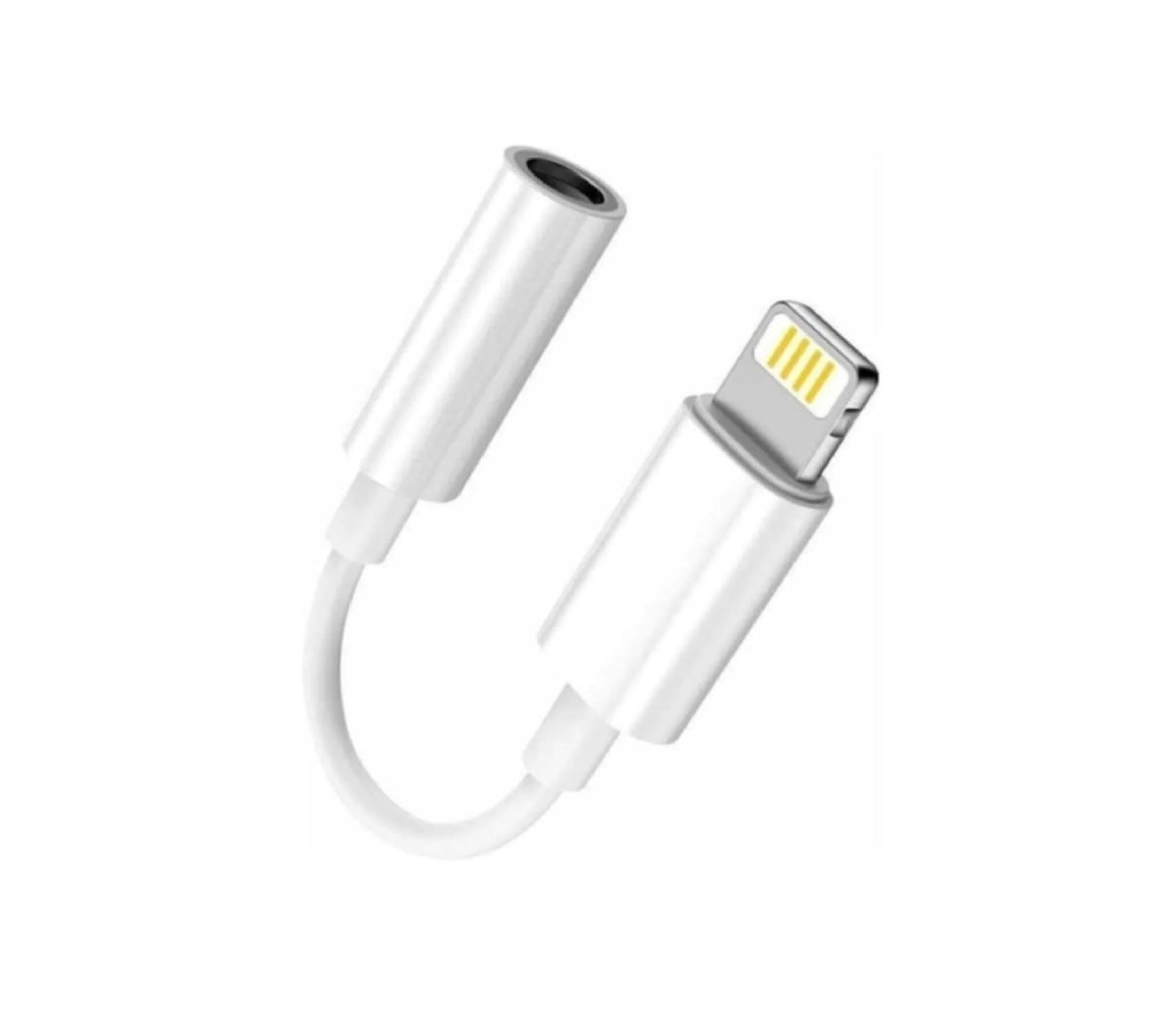 LIGHTNING AUX DÖNÜŞTÜRÜCÜ