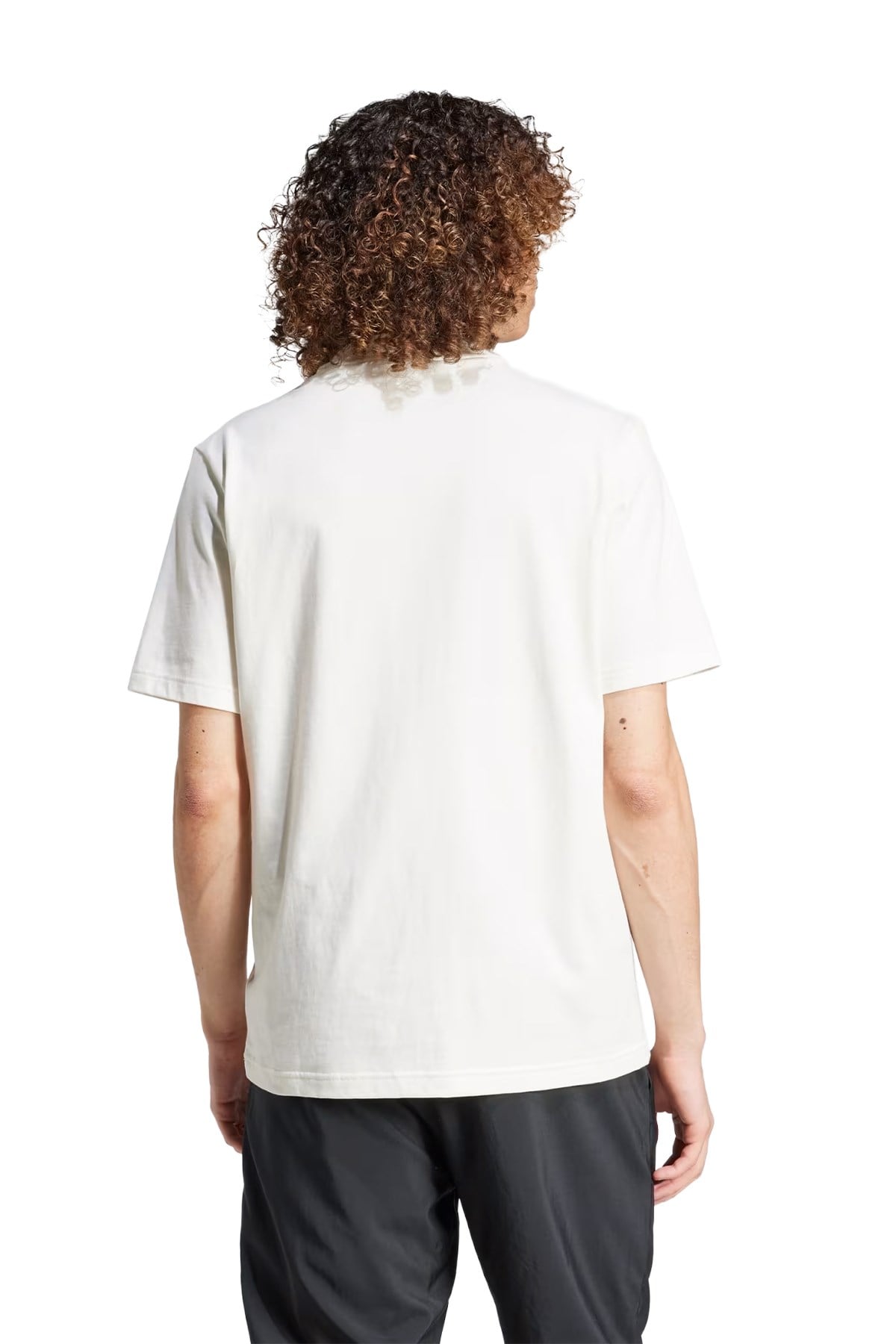 Adidas Erkek City Escape Tişört M CE TEE GD JF3327 ADİDAS JF3327