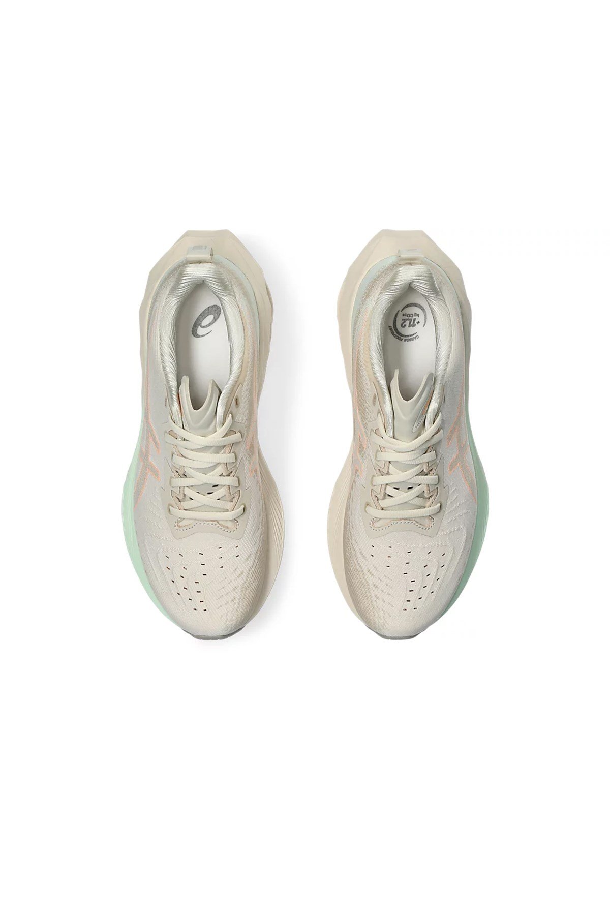 Asics Kadın Koşu Ayakkabısı Novablast 4 1012B510-250 ASICS 1012B510-250