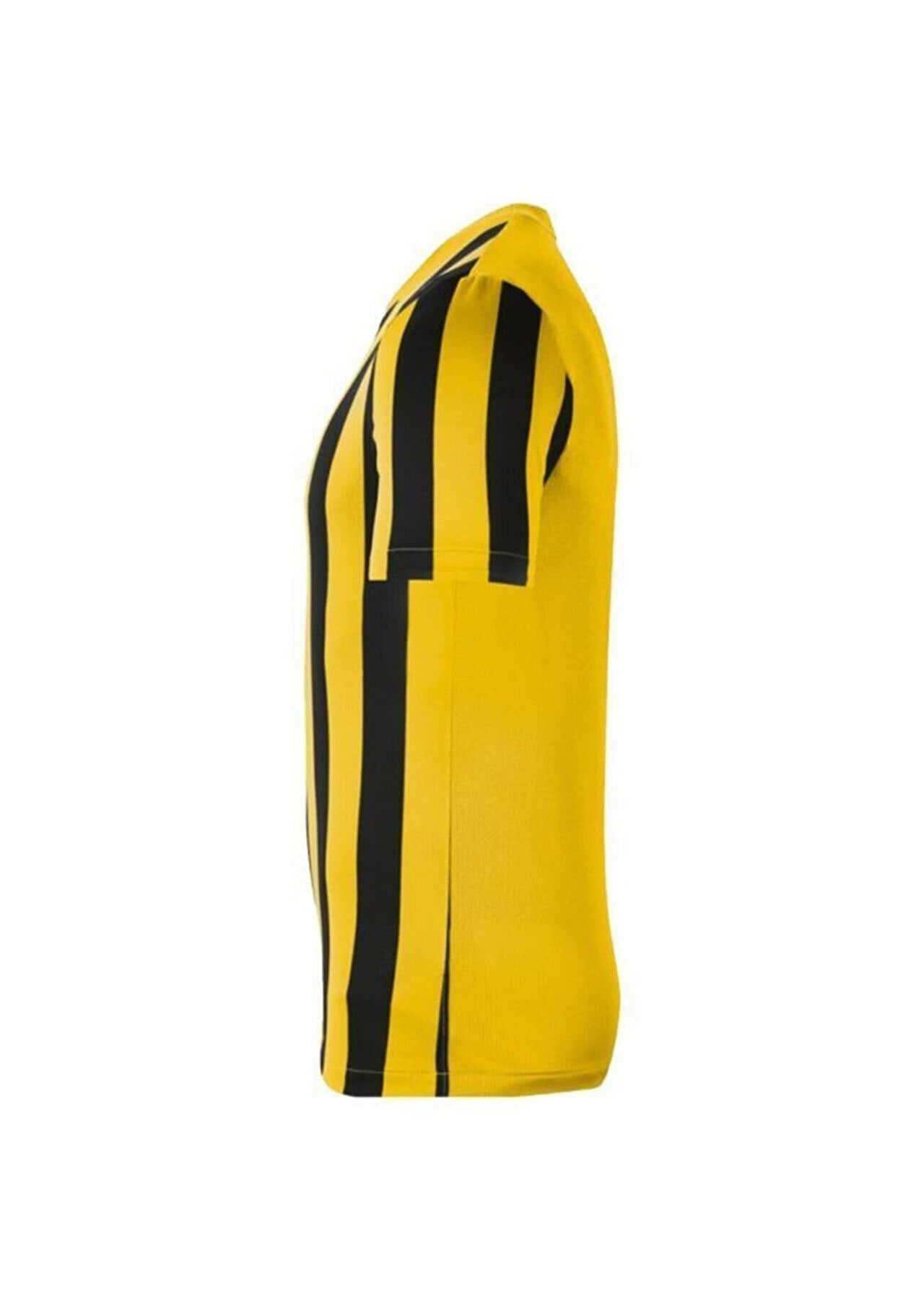 Nike Dri Fit Stripe Dıvision IV Jsy Ss Forma Cw3813-719 NİKE CW3813-719