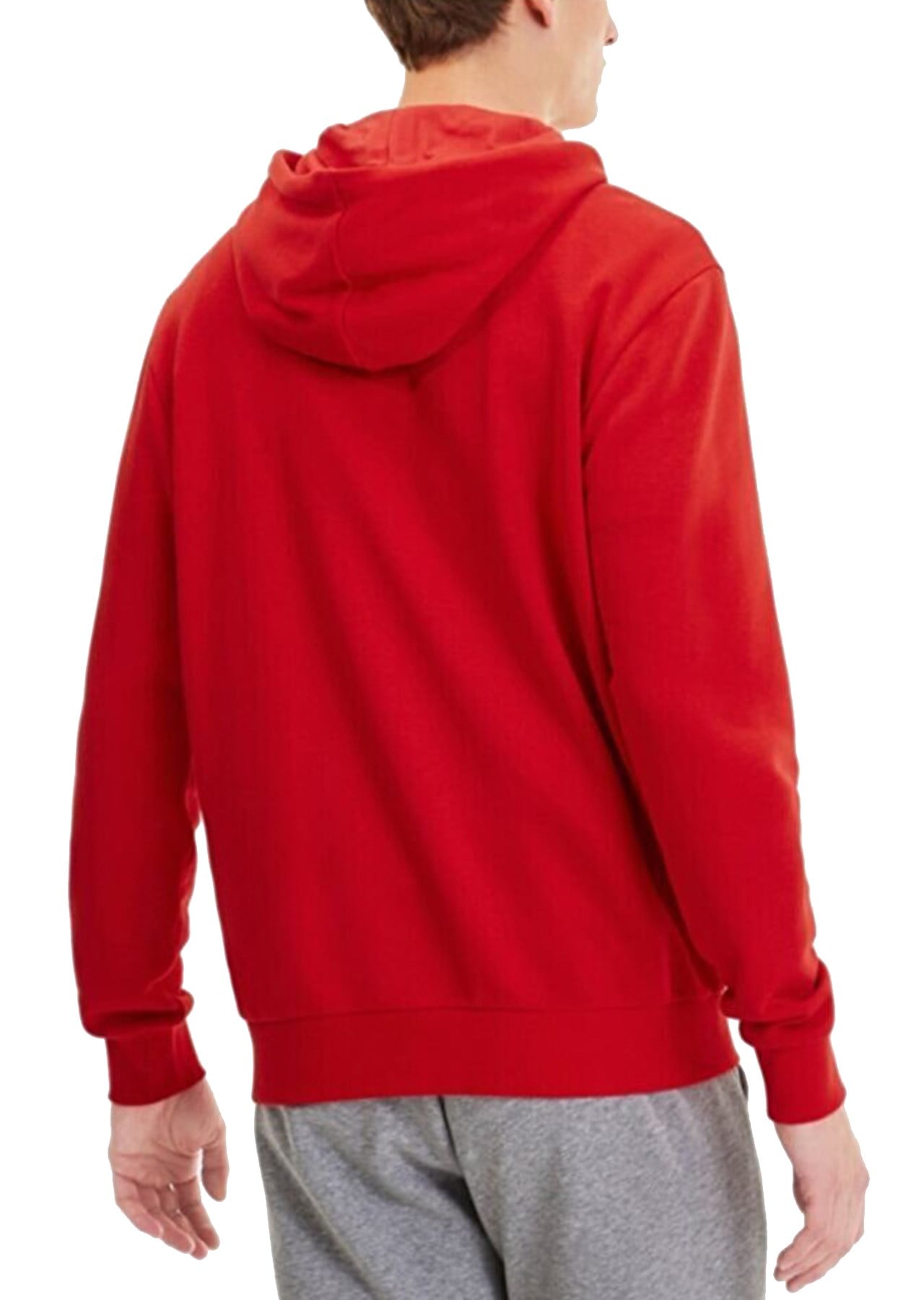 Puma Erkek Sweatshirts Teamgoal 23 Causals Hooded 65670801 PUMA 65670801