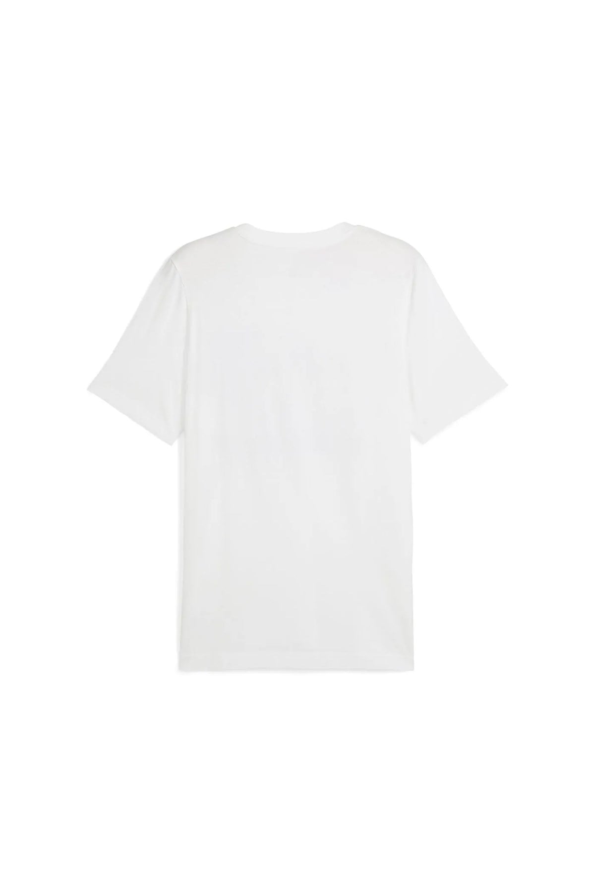 Puma Erkek Tişört GRAPHICS Puma Sports Tee 68320702 PUMA 68320702