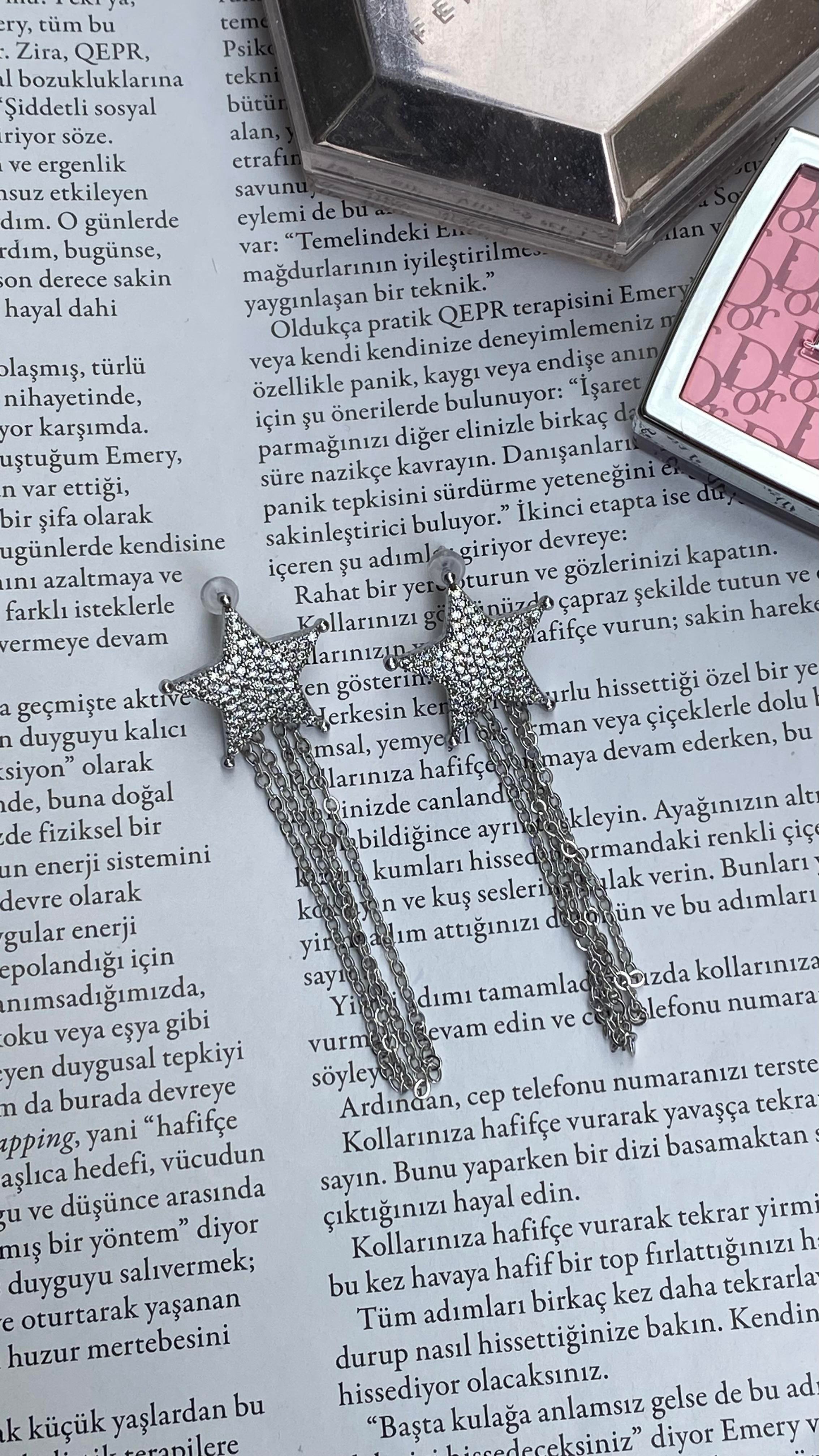 Silver Zirkon Taşlı Salkım Küpe