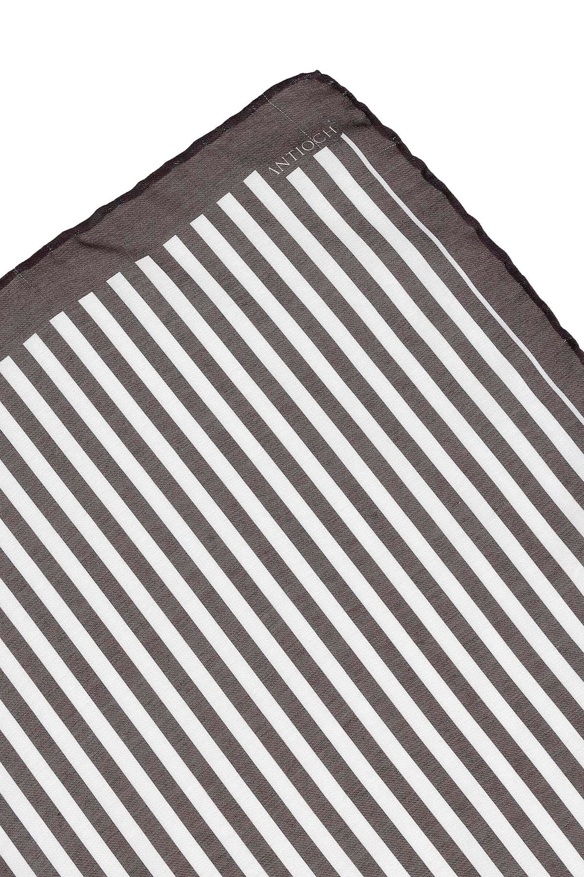 Antioch Siyah Çizgili Fular