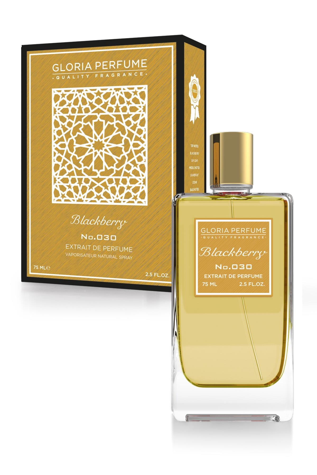 BLACKBERRY 75 ML EDP ERKEK PARFÜM