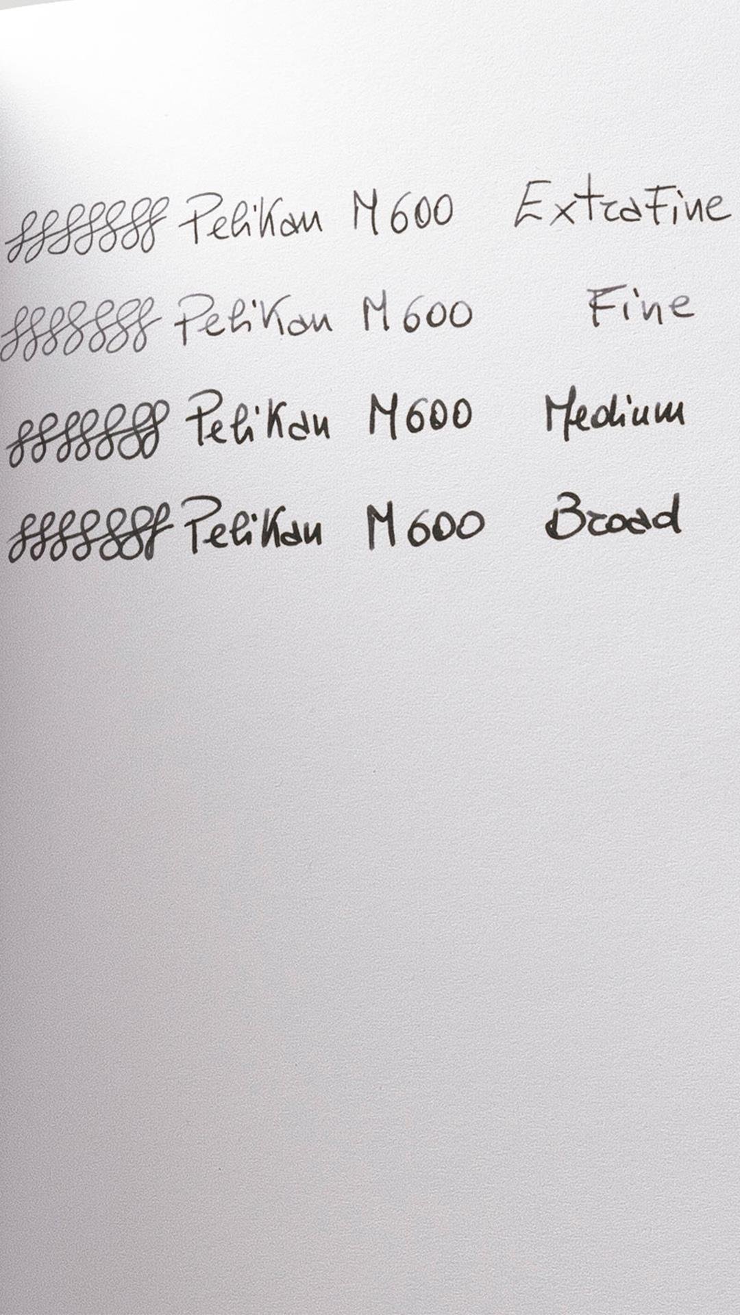 Pelikan Souveran M600 Art Collection Fountain Pen Rudi Rother Special Edition