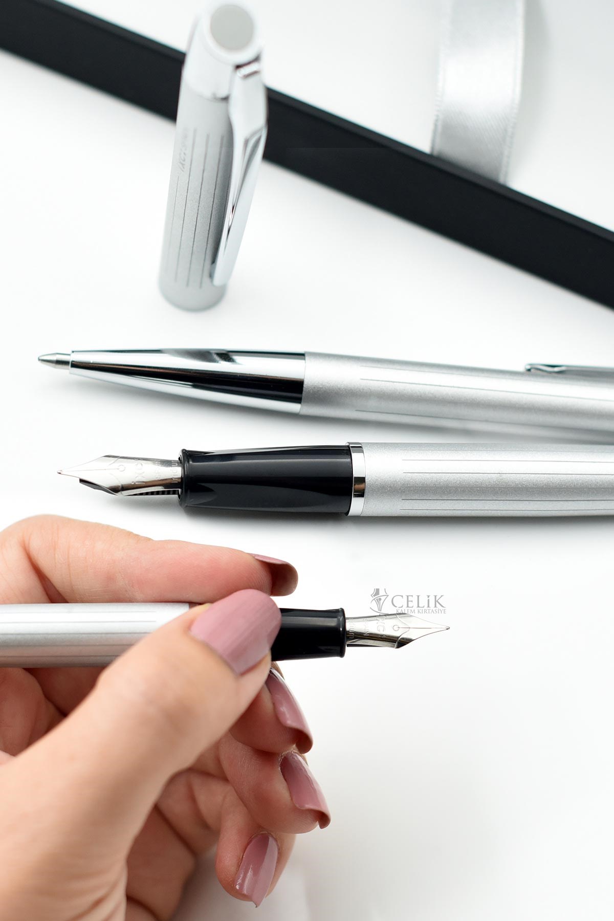 Pure Diplomat Plata  Dolma + Tükenmez Kalem