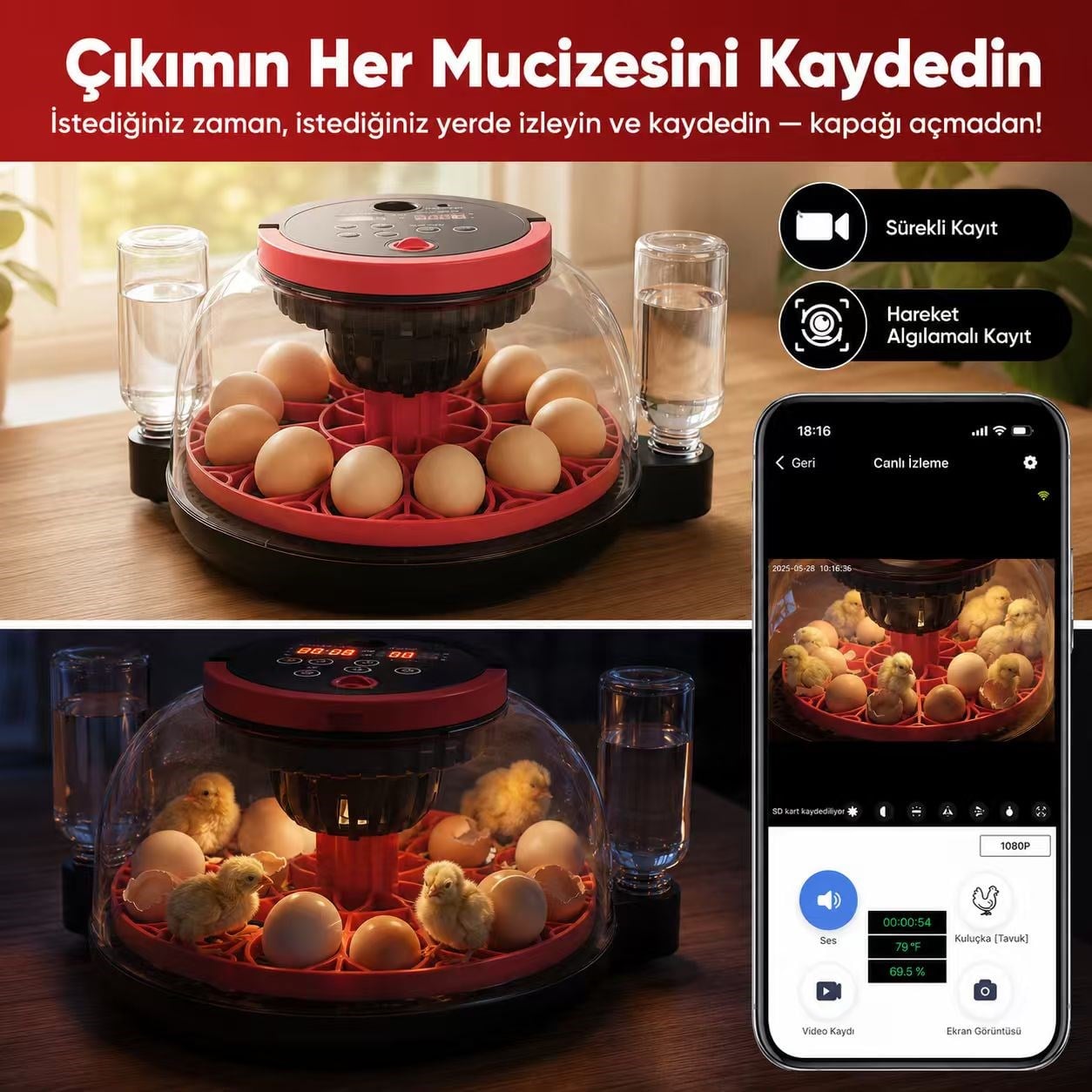 Robodünya Akıllı Kameralı Kuluçka Makinesi - 12'liRobodünya Akıllı Kameralı Kuluçka Makinesi - 12'li 