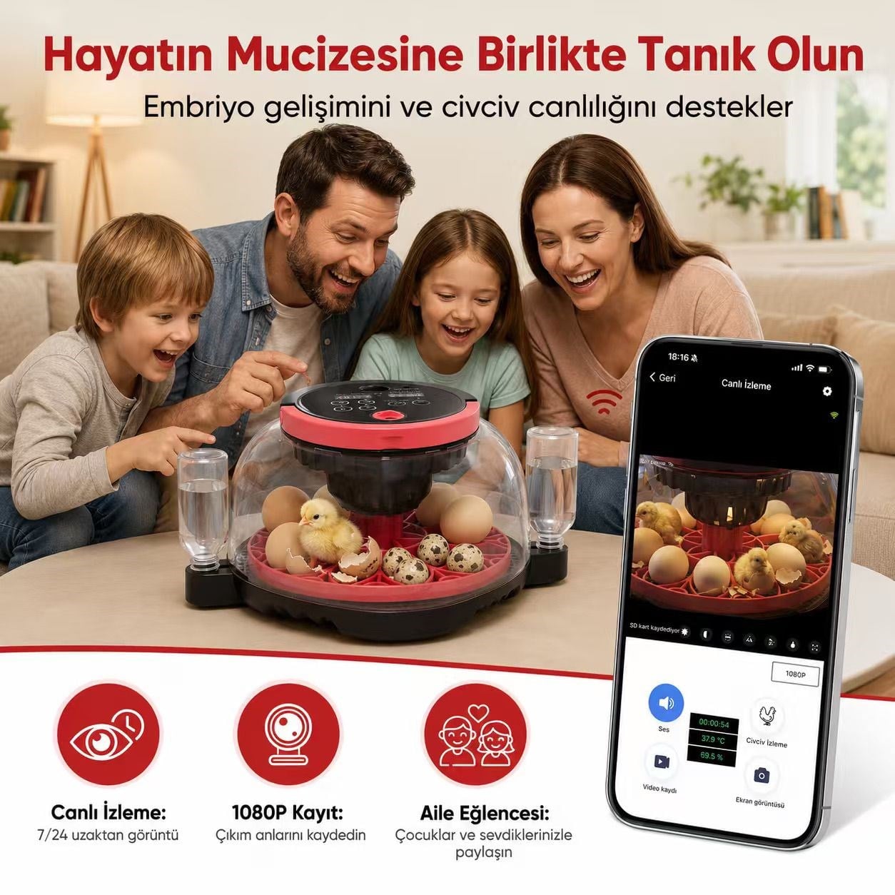 Robodünya Akıllı Kameralı Kuluçka Makinesi - 12'li