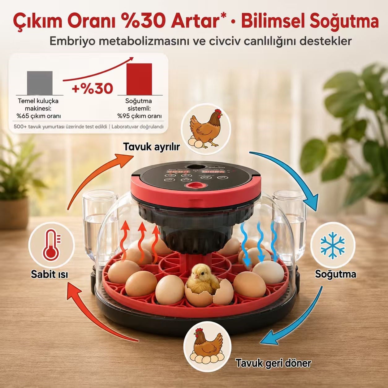 Robodünya Akıllı Kameralı Kuluçka Makinesi - 12'li