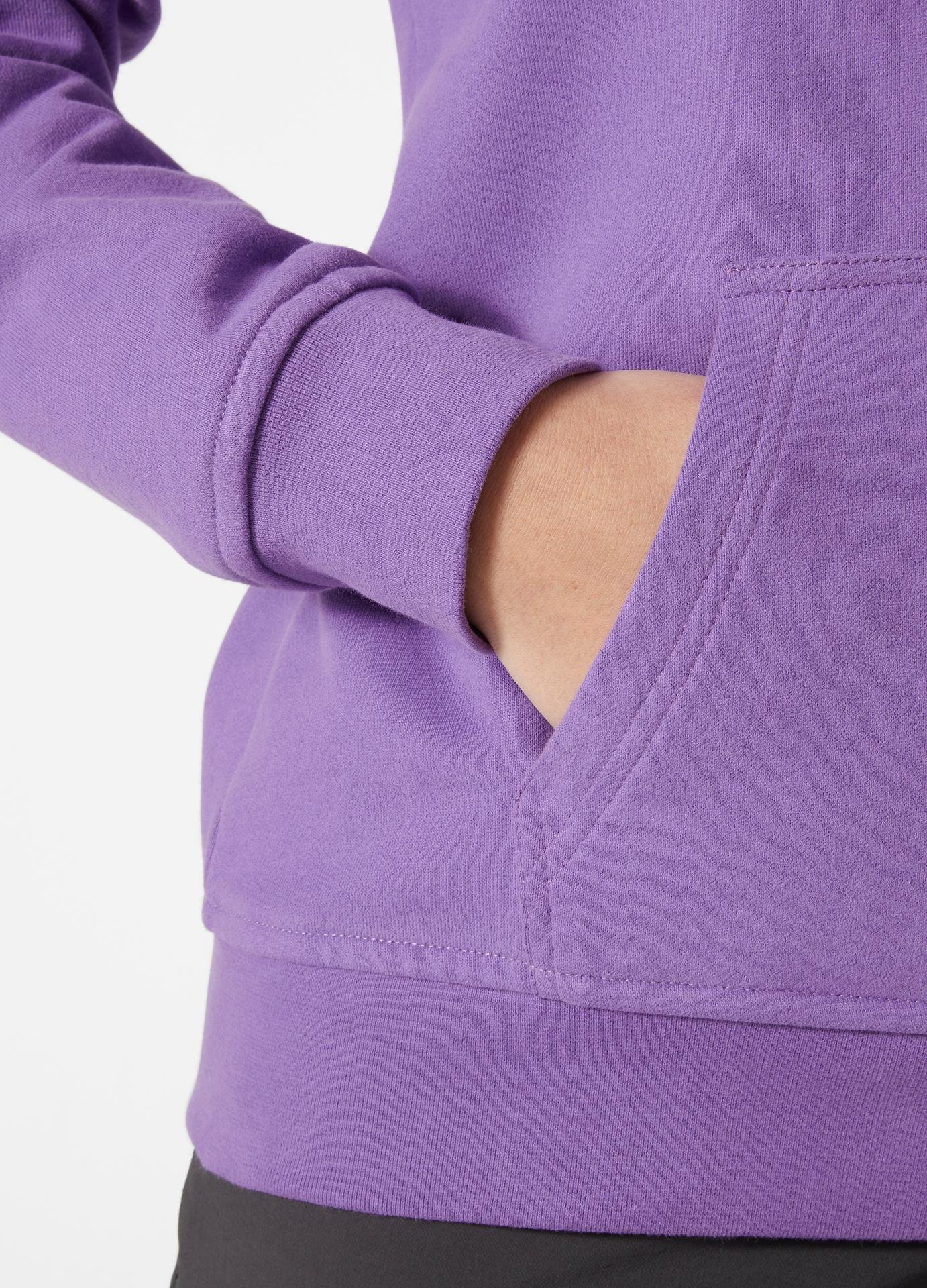 HELLY HANSEN  W LOGO HOODIE KAPİŞONLU